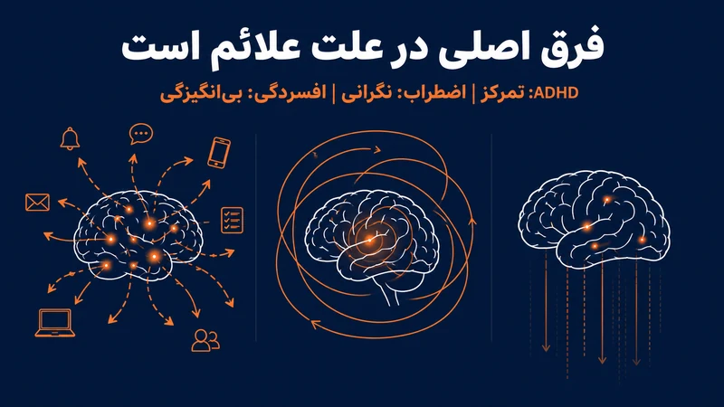 تفاوت ای دی اچ دی با اضطراب